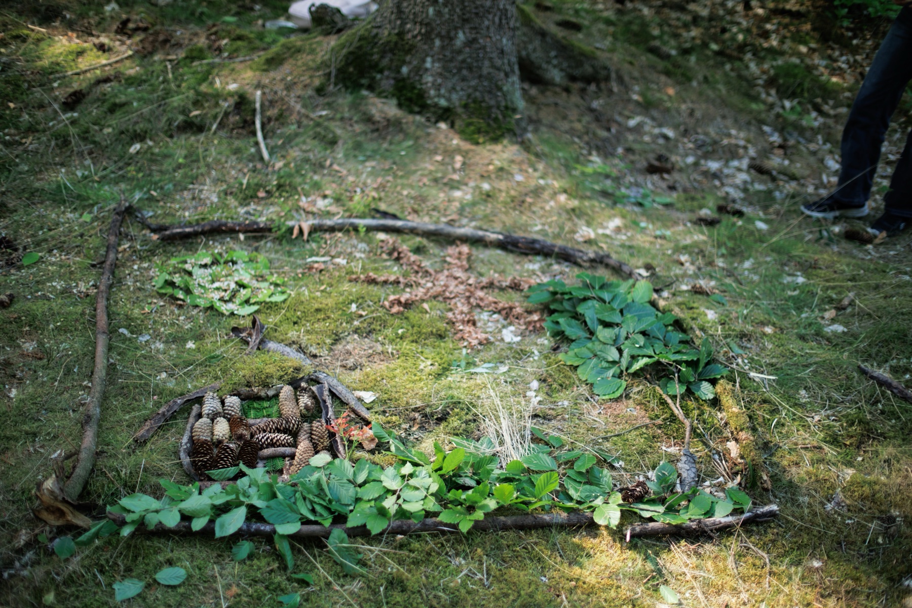 Bild aus Waldmaterialien gelegt