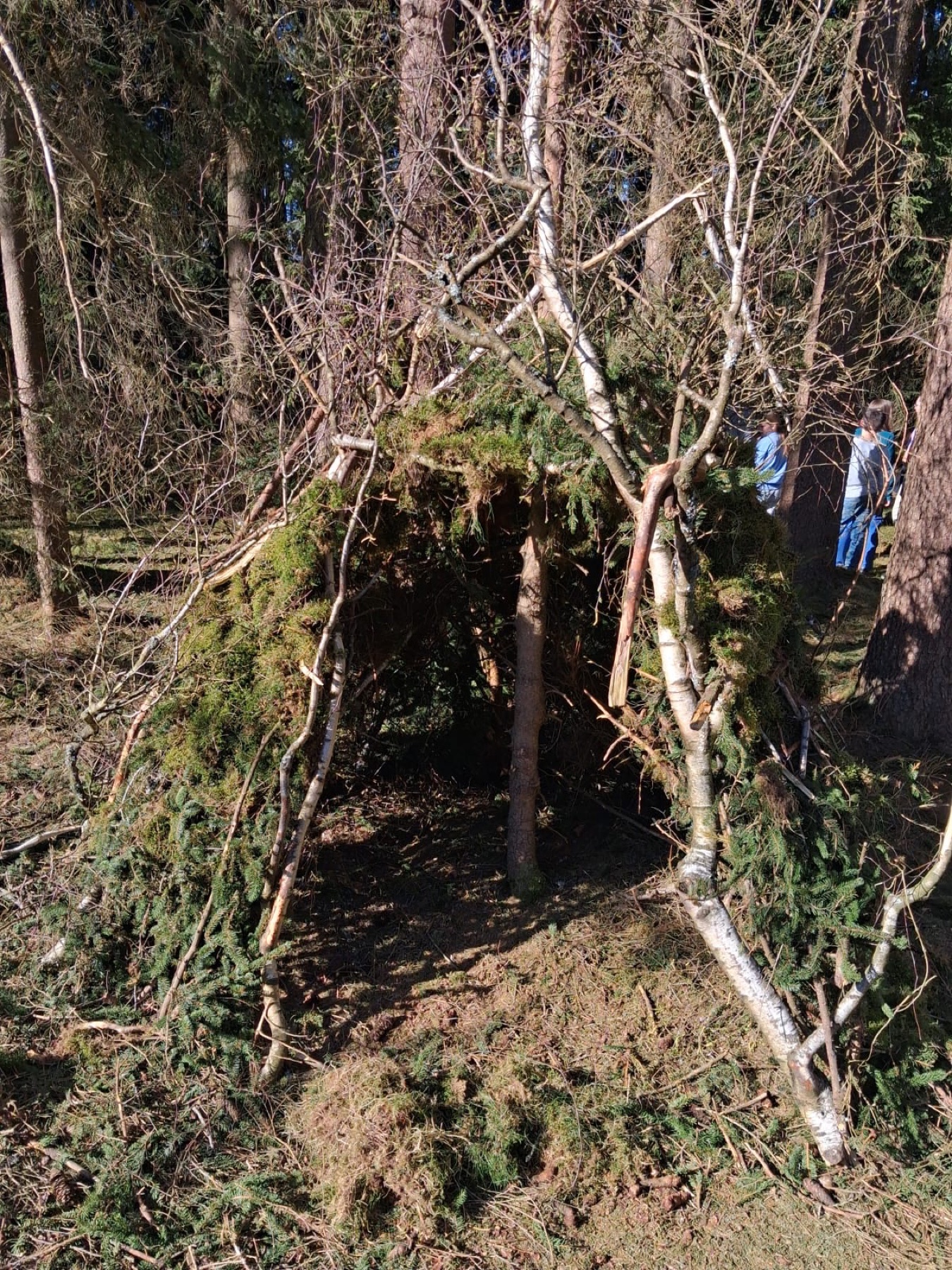 Selbstgebautes Zelt aus Moos im Wald